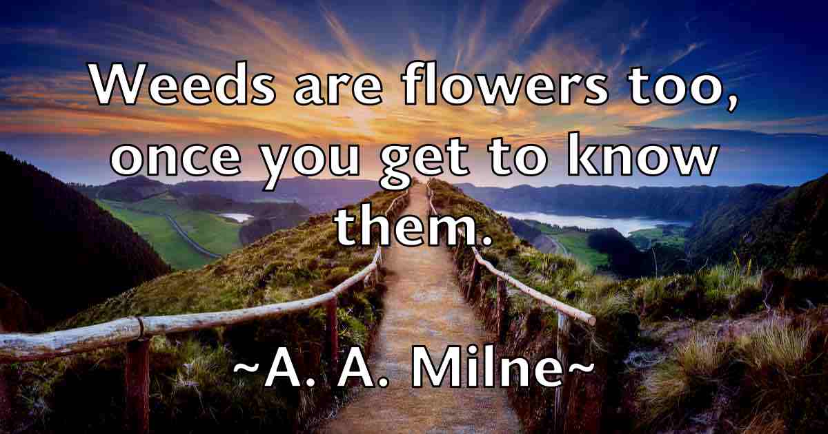 /images/quoteimage/a-a-milne-fb-230.jpg