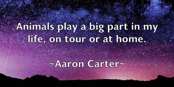 /images/quoteimage/aaron-carter-1018.jpg