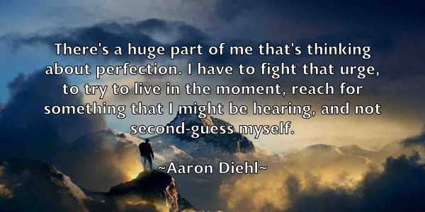 /images/quoteimage/aaron-diehl-1112.jpg