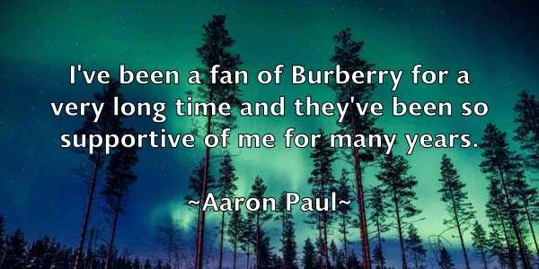 /images/quoteimage/aaron-paul-1734.jpg