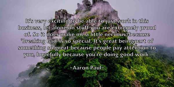 /images/quoteimage/aaron-paul-1735.jpg