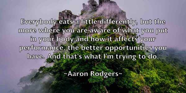 /images/quoteimage/aaron-rodgers-1864.jpg