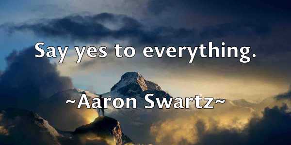 /images/quoteimage/aaron-swartz-2100.jpg