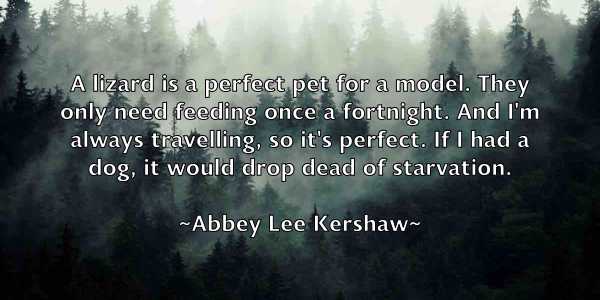 /images/quoteimage/abbey-lee-kershaw-2497.jpg