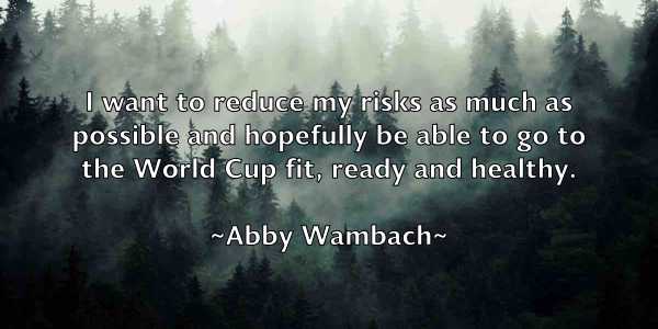 /images/quoteimage/abby-wambach-2925.jpg