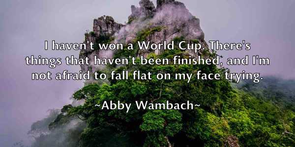 /images/quoteimage/abby-wambach-2935.jpg