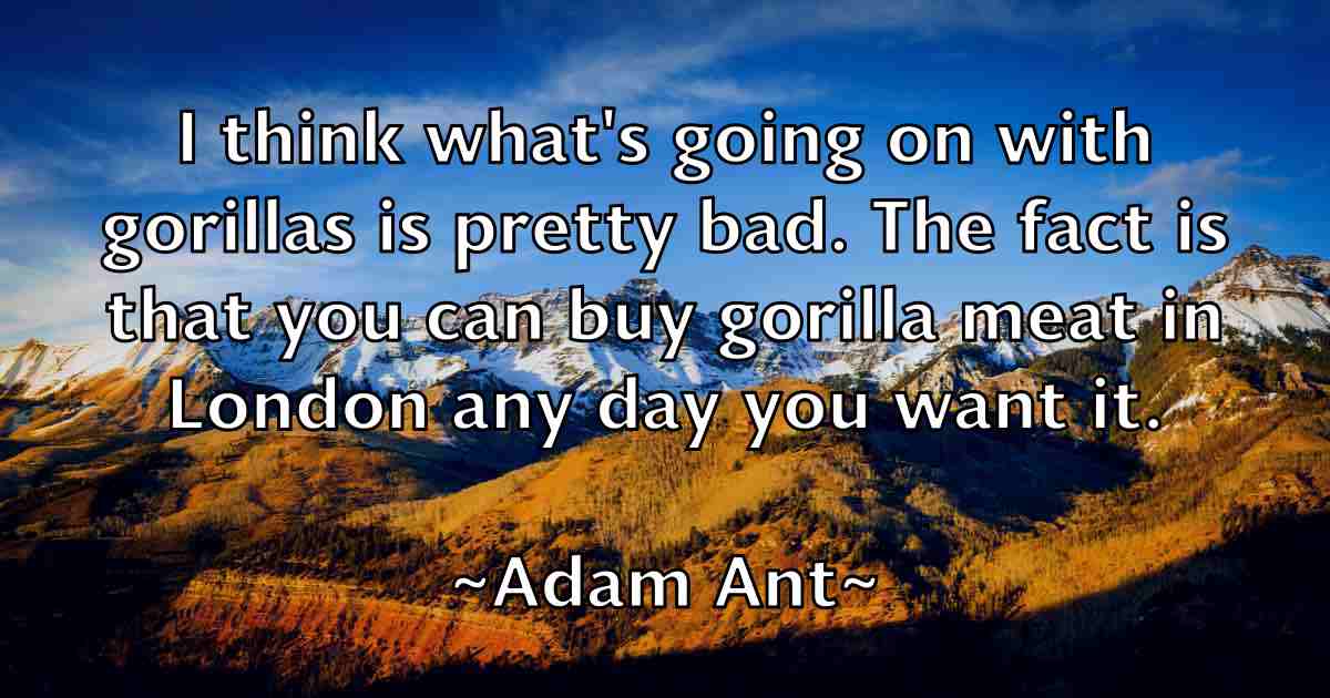 /images/quoteimage/adam-ant-fb-4867.jpg