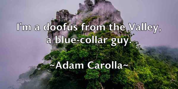 /images/quoteimage/adam-carolla-5057.jpg