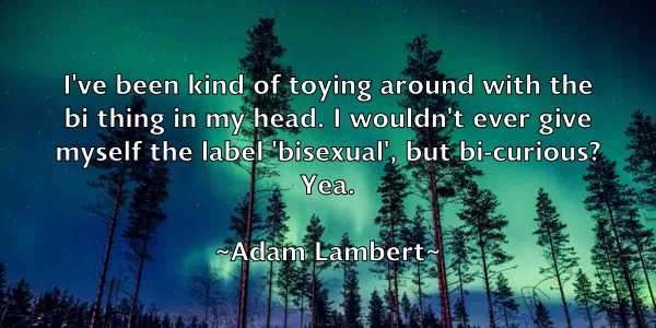 /images/quoteimage/adam-lambert-6417.jpg