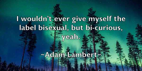 /images/quoteimage/adam-lambert-6424.jpg