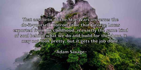 /images/quoteimage/adam-savage-7487.jpg