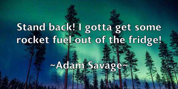 /images/quoteimage/adam-savage-7518.jpg