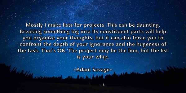 /images/quoteimage/adam-savage-7519.jpg