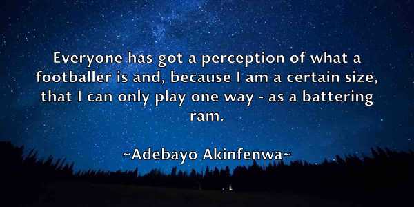 /images/quoteimage/adebayo-akinfenwa-8341.jpg