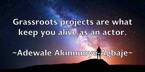 /images/quoteimage/adewale-akinnuoye-agbaje-8628.jpg