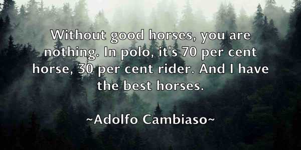 /images/quoteimage/adolfo-cambiaso-9171.jpg