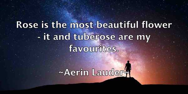 /images/quoteimage/aerin-lauder-10515.jpg