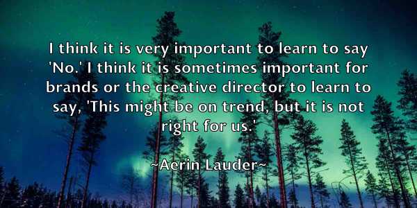 /images/quoteimage/aerin-lauder-10534.jpg