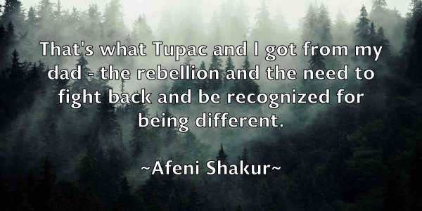 /images/quoteimage/afeni-shakur-10916.jpg