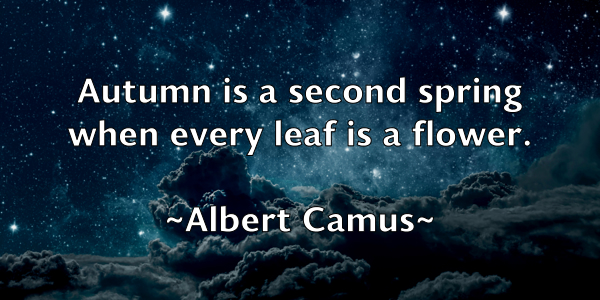 /images/quoteimage/albert-camus-18089.jpg