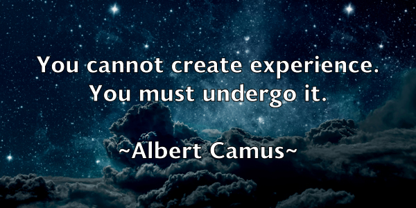 /images/quoteimage/albert-camus-18117.jpg