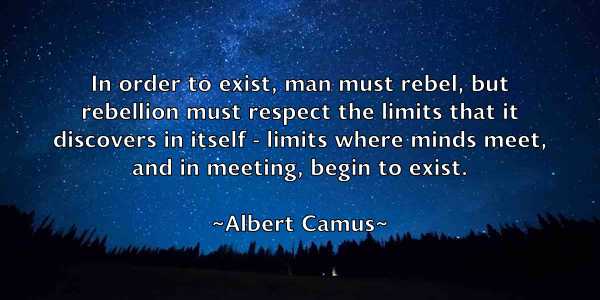 /images/quoteimage/albert-camus-18128.jpg