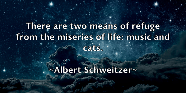 /images/quoteimage/albert-schweitzer-18668.jpg