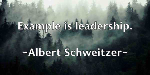 /images/quoteimage/albert-schweitzer-18682.jpg