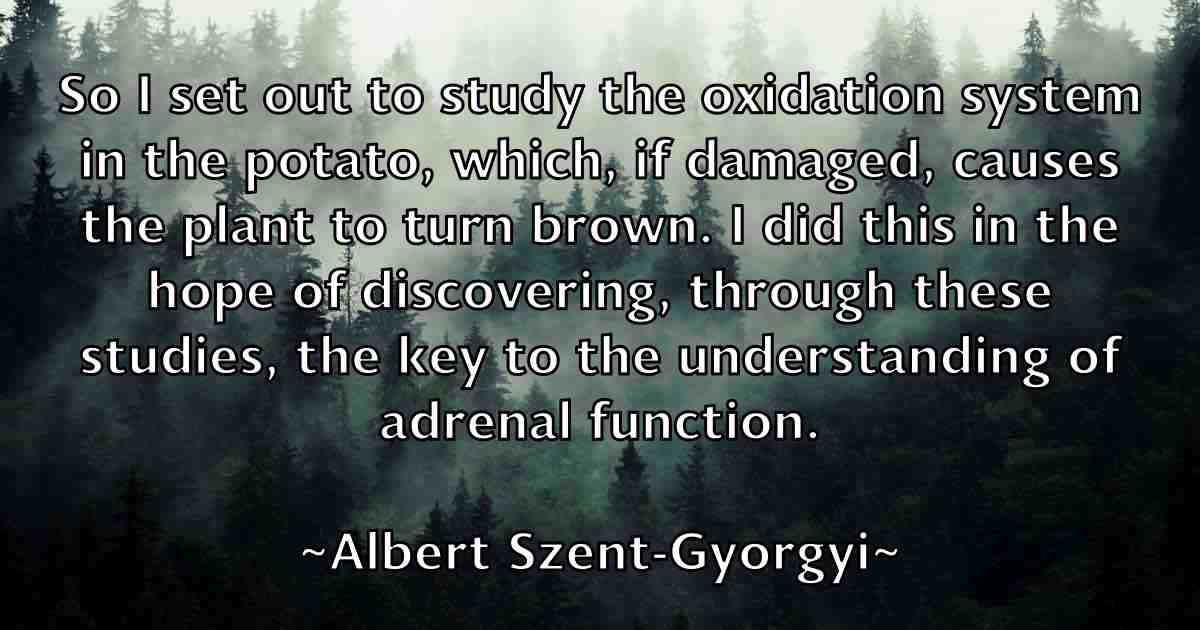 /images/quoteimage/albert-szent-gyorgyi-fb-18748.jpg