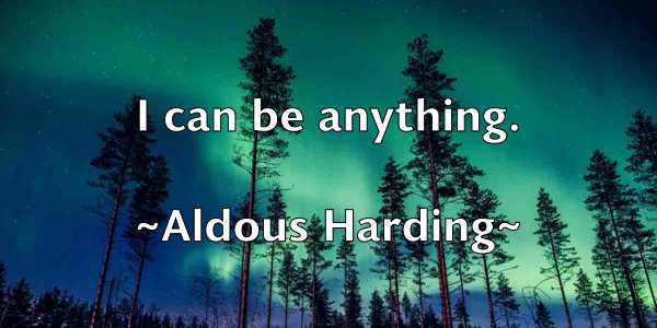 /images/quoteimage/aldous-harding-19206.jpg