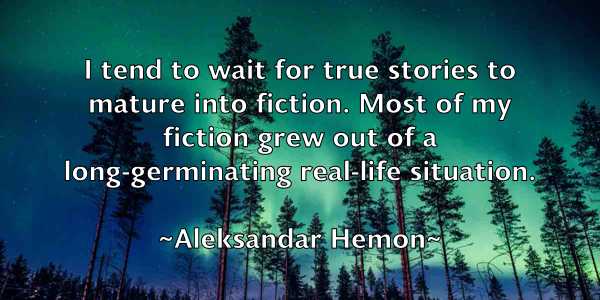 /images/quoteimage/aleksandar-hemon-20098.jpg