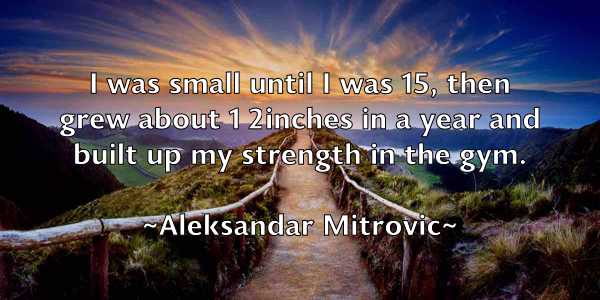 /images/quoteimage/aleksandar-mitrovic-20168.jpg