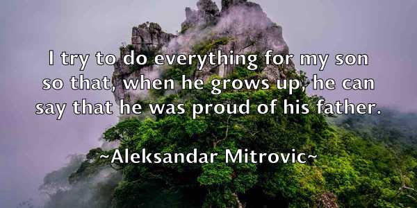 /images/quoteimage/aleksandar-mitrovic-20176.jpg