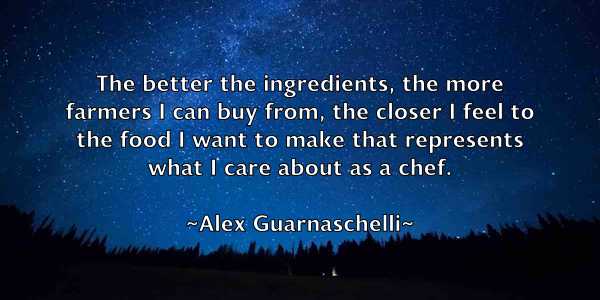 /images/quoteimage/alex-guarnaschelli-21345.jpg