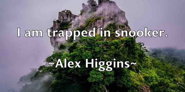 /images/quoteimage/alex-higgins-21498.jpg