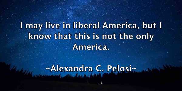 /images/quoteimage/alexandra-c-pelosi-24782.jpg