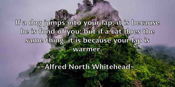 /images/quoteimage/alfred-north-whitehead-26516.jpg