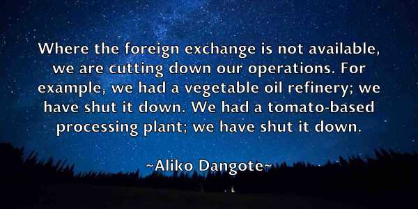 /images/quoteimage/aliko-dangote-29021.jpg