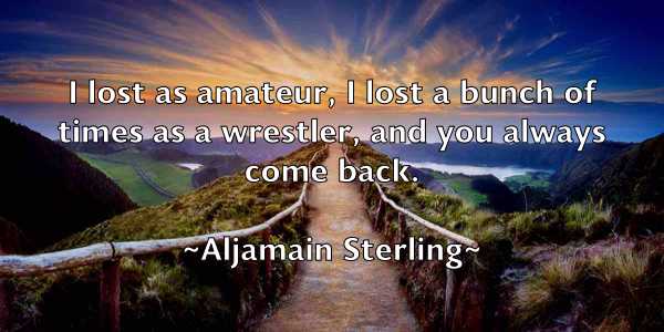 /images/quoteimage/aljamain-sterling-29910.jpg