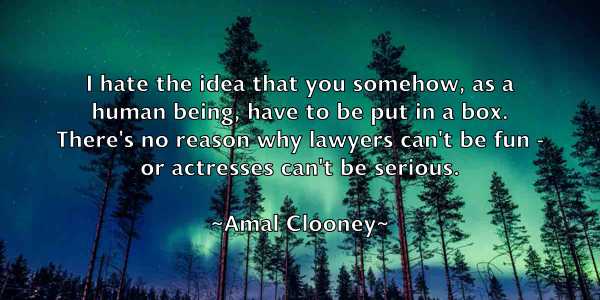 /images/quoteimage/amal-clooney-32299.jpg