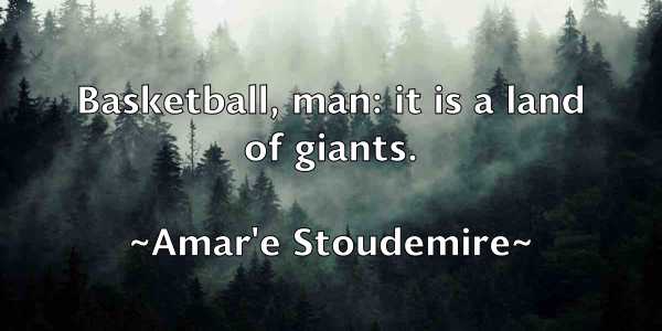 /images/quoteimage/amare-stoudemire-33540.jpg