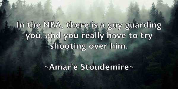 /images/quoteimage/amare-stoudemire-33543.jpg