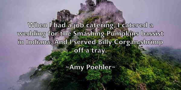 /images/quoteimage/amy-poehler-36887.jpg