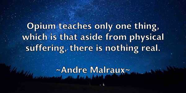 /images/quoteimage/andre-malraux-40133.jpg