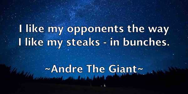 /images/quoteimage/andre-the-giant-40313.jpg