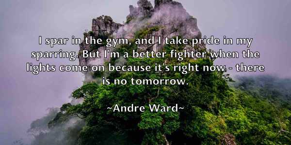 /images/quoteimage/andre-ward-40381.jpg