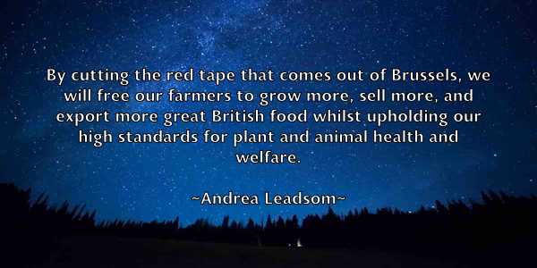 /images/quoteimage/andrea-leadsom-40804.jpg