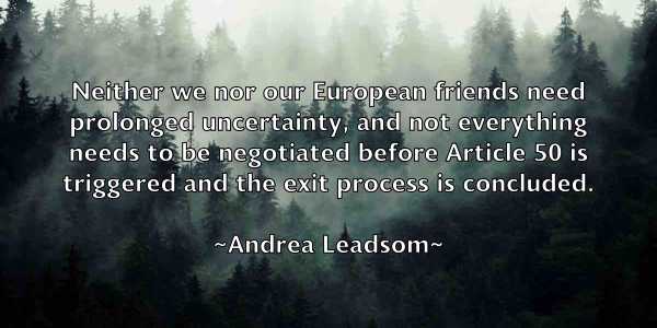 /images/quoteimage/andrea-leadsom-40855.jpg