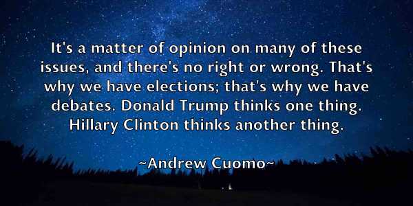 /images/quoteimage/andrew-cuomo-41867.jpg