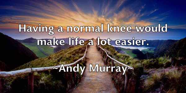 /images/quoteimage/andy-murray-45930.jpg